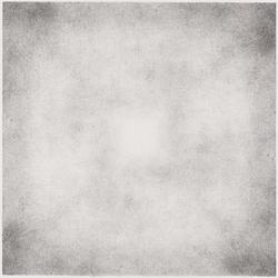 Untitled (in Olive Press portfolio)