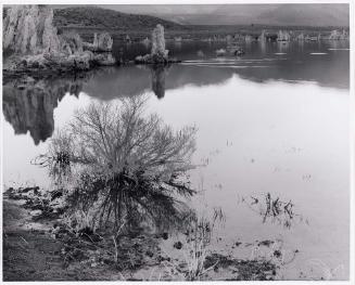 Mono Lake, Lee Vining, CA