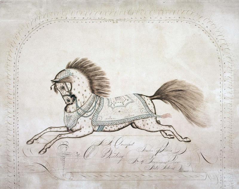 Horse in Full Gallop