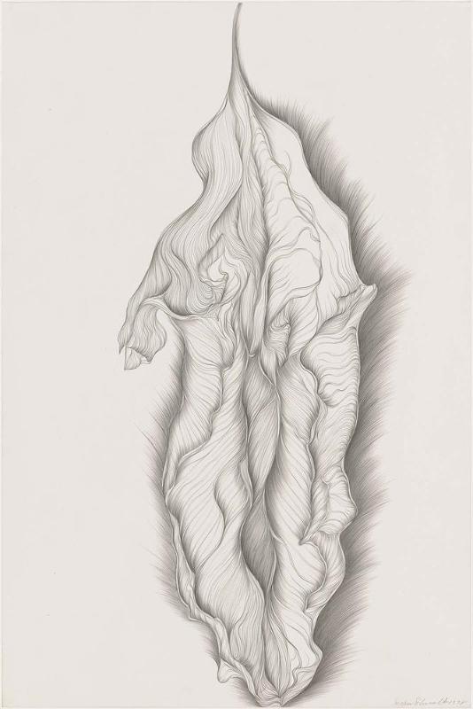 Leaf Study