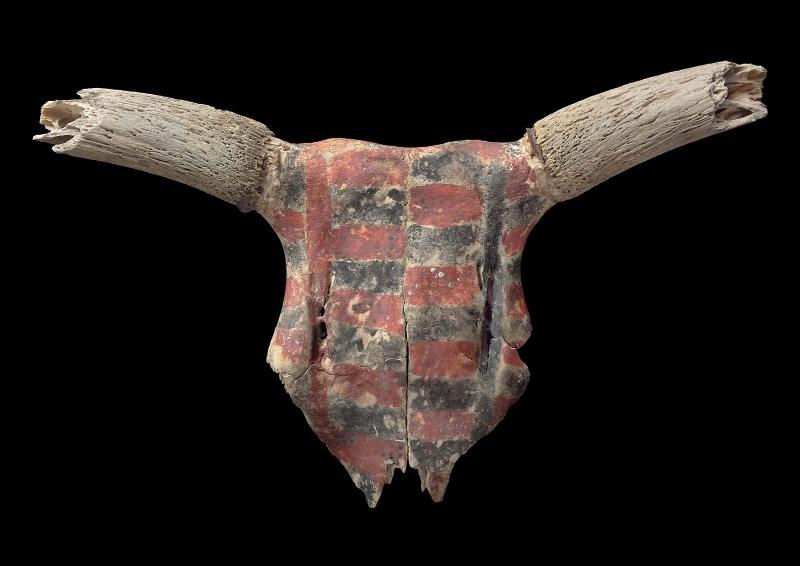 Painted cow skull (bucranium)