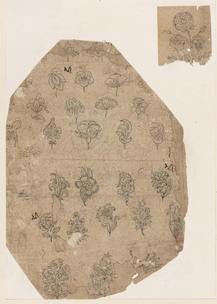 Sheet of Floral Motifs