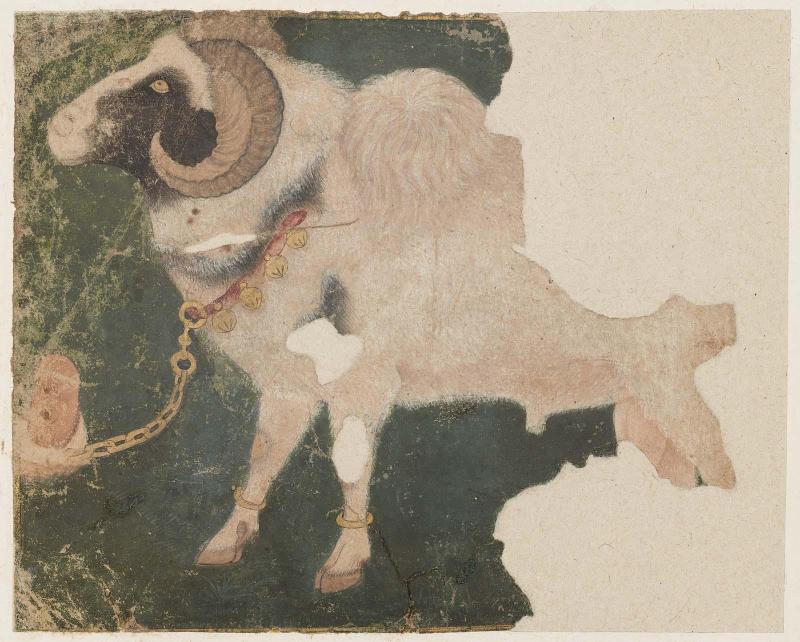 Ram