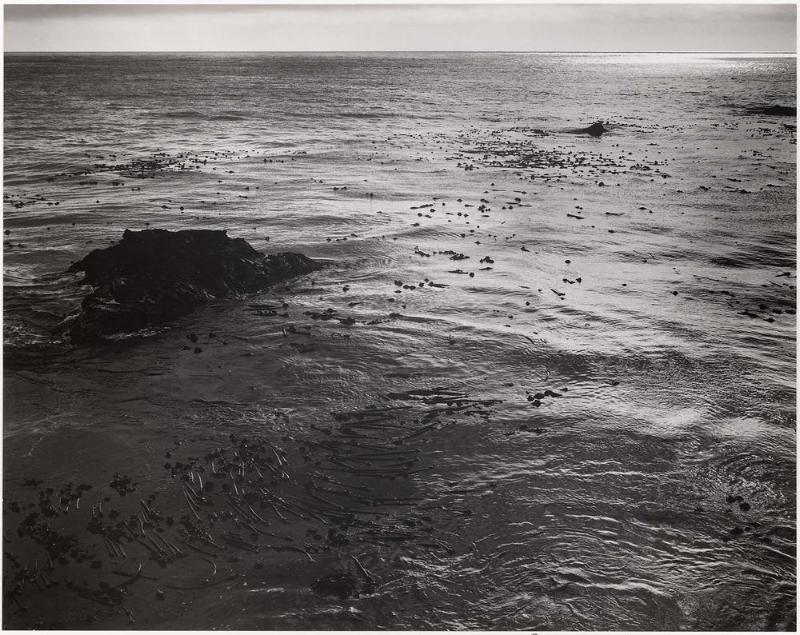 From Point Lobos