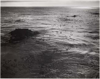 From Point Lobos