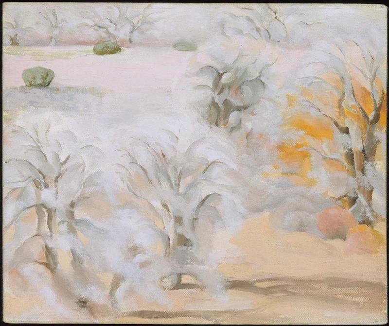Abiquiu Trees VII