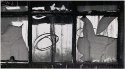 Window and Cardboard, Buffalo