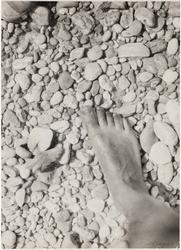 My Foot