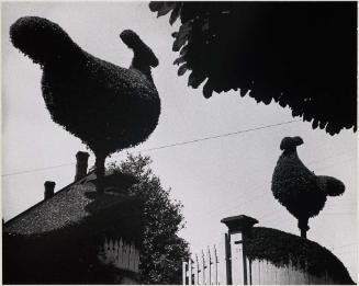 Entrance to her Garden.  Victoria, British Columbia, 1934