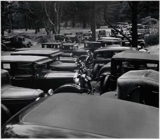 Parking in the Park