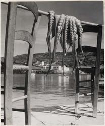 Octopus and Chairs, Korfu