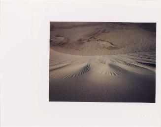 Cape Cod (brown sand)