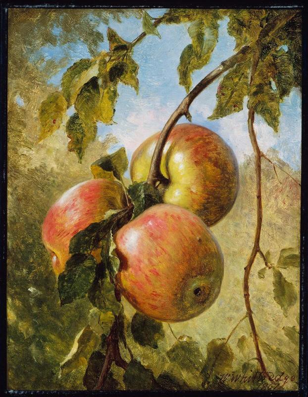 Apples