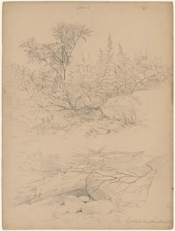 Catskill Mountains, July 30, 1856