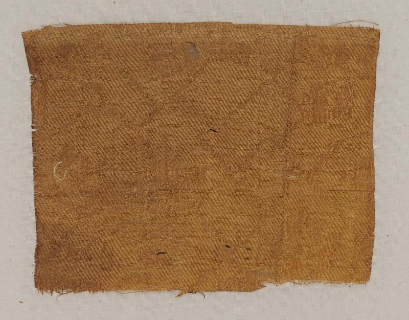 Fragment of silk