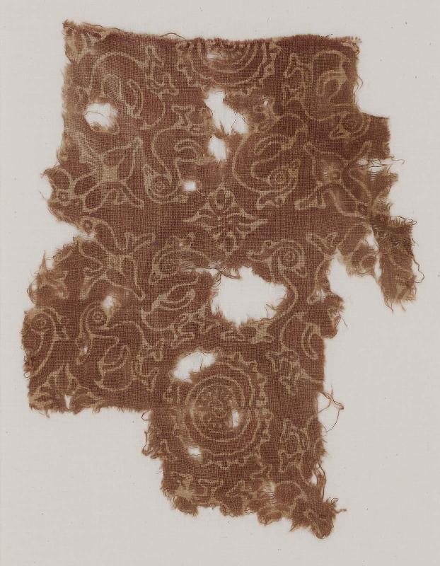 Fragment of cotton