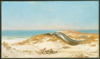 The Lair of the Sea Serpent