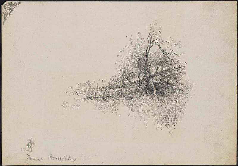 Landscape vignette (bare trees on hillside)