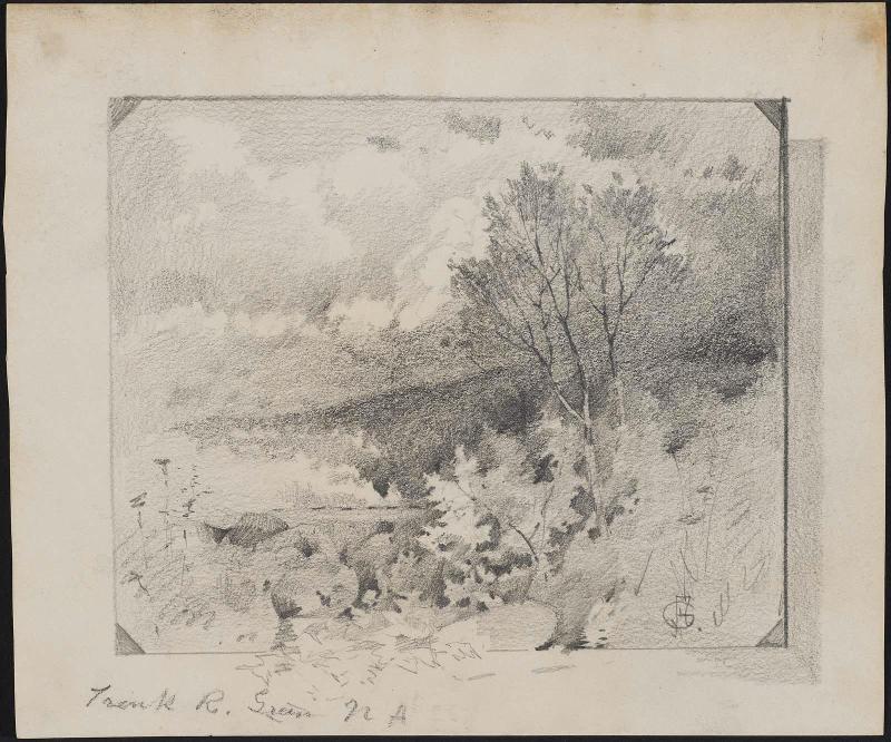 Landscape (trees and clouds)