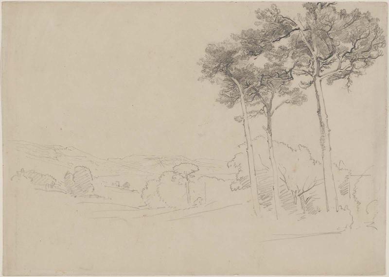 Landscape with Three Pines