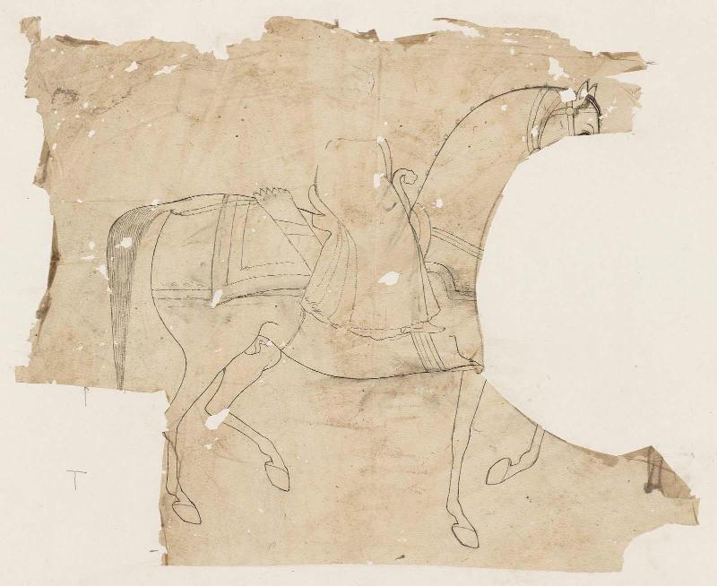 Horse and Rider