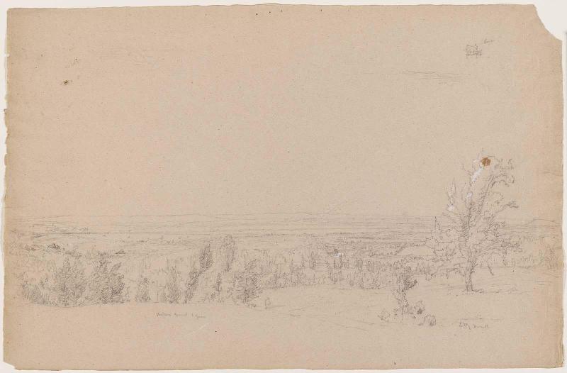 Landscape (panorama)
