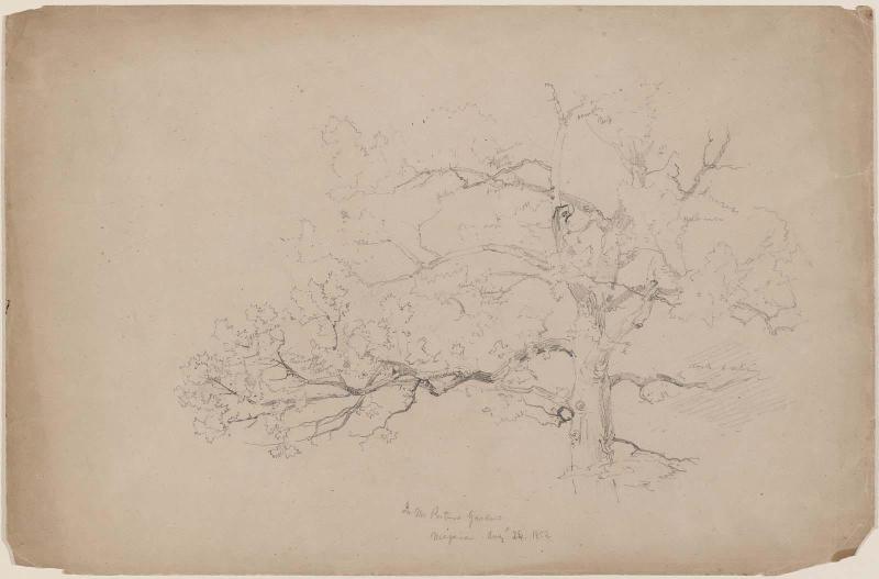 In Mr. Porter's Garden, Niagara