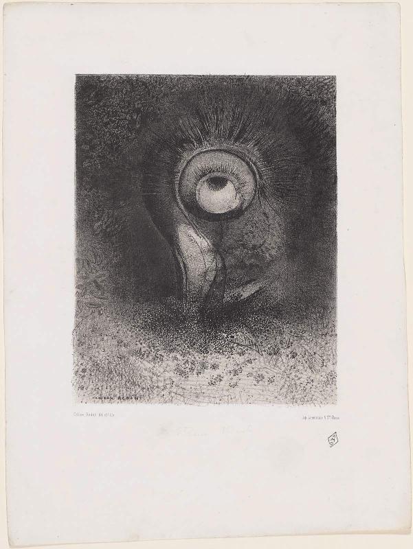 There was perhaps a first vision attempted in the flower; Plate No. 2 from the set "The Origins"