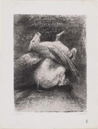 The impotent wing did not lift the animal into that black space; Plate No. 7 from the set "The Origins"