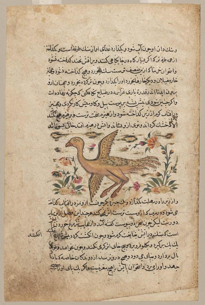 Nuzhatnama (Book of Pleasures): Ostrich; Heron