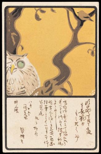 Owl from the series Six Types of Saliva