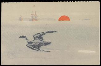 Cormorant Flying by Battleships from an unidentified magazine