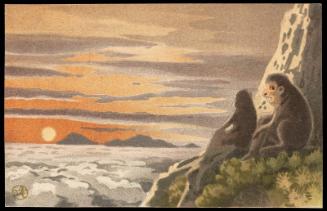 Monkeys and Sunset over Ocean