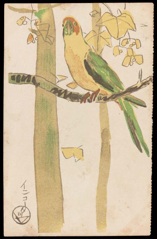 Macaw from Chûgaku sekai