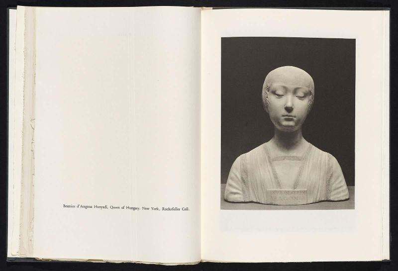 Four Portrait Busts by Francesco Laurana
