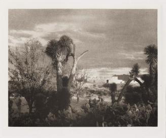 Near Saltillo from the Mexican Portfolio