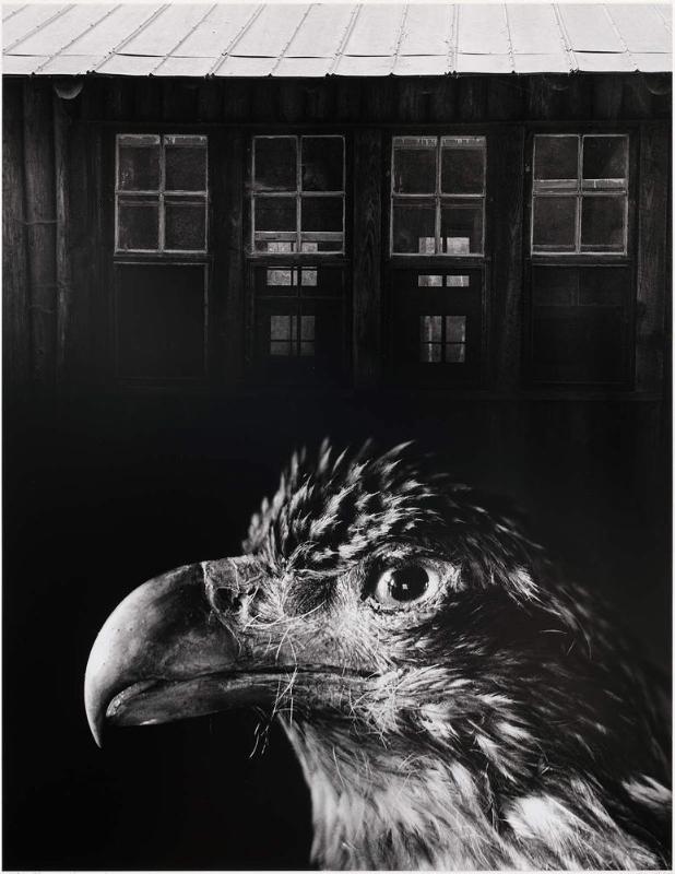 Bless our Home and Eagle