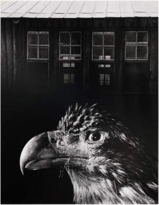 Bless our Home and Eagle