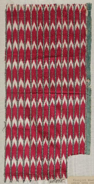 Cloth