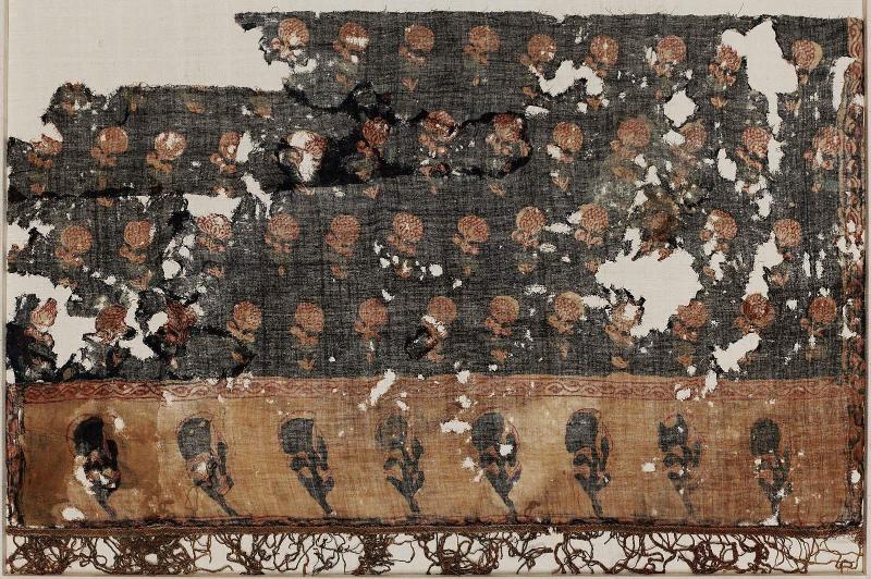 Fragment of cotton