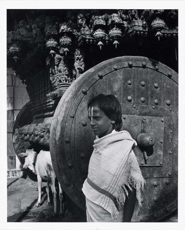Hindu Boy and Holy Cow at the Juggernaut