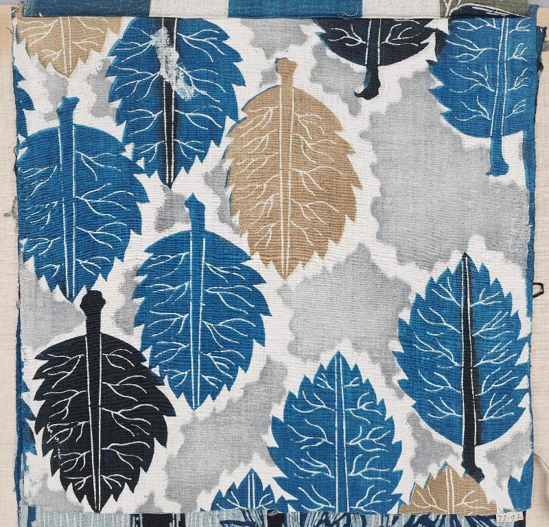 Fragment of cotton
