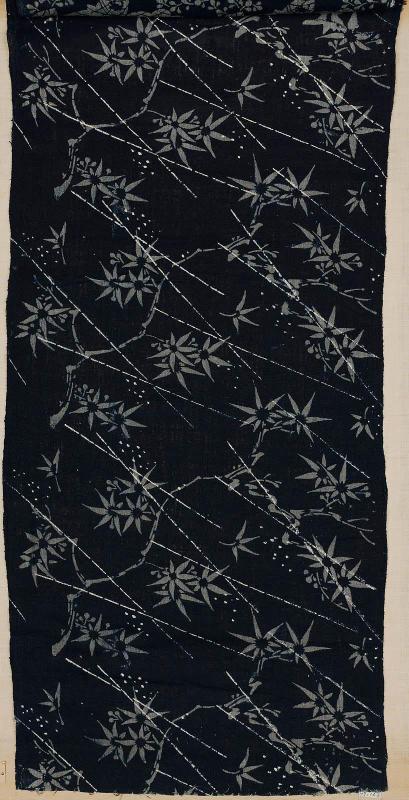 Fragment of cotton