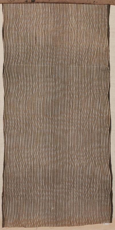 Fragment of cotton