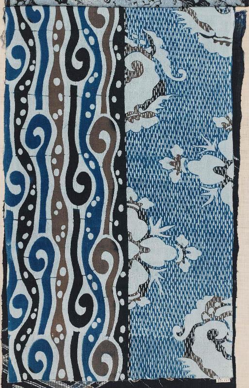 Fragment of cotton
