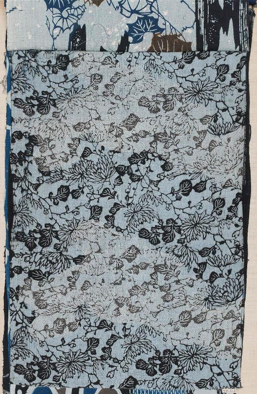 Fragment of cotton