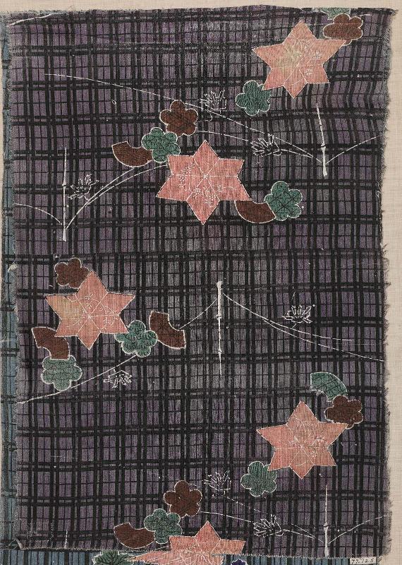 Fragment of cotton