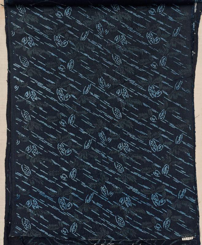 Fragment of cotton