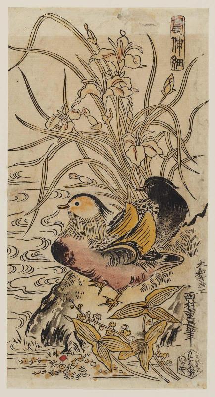 Mandarin Ducks, Iris, and Arrowheads, from a bird-and-flower series with the title Kashinsai (?)