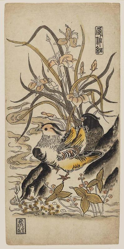 Mandarin Ducks, Iris, and Arrowheads, from a bird-and-flower series with the title Kashinsai (?)